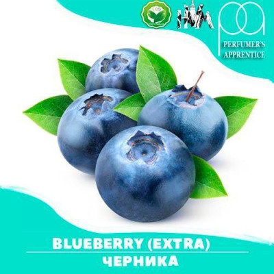 Ароматизатор TPA/TFA Blueberry Flavor Extra (Чорниця (Екстра)) 100 мл
